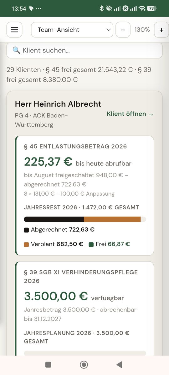 Budget-Übersicht – Mobil