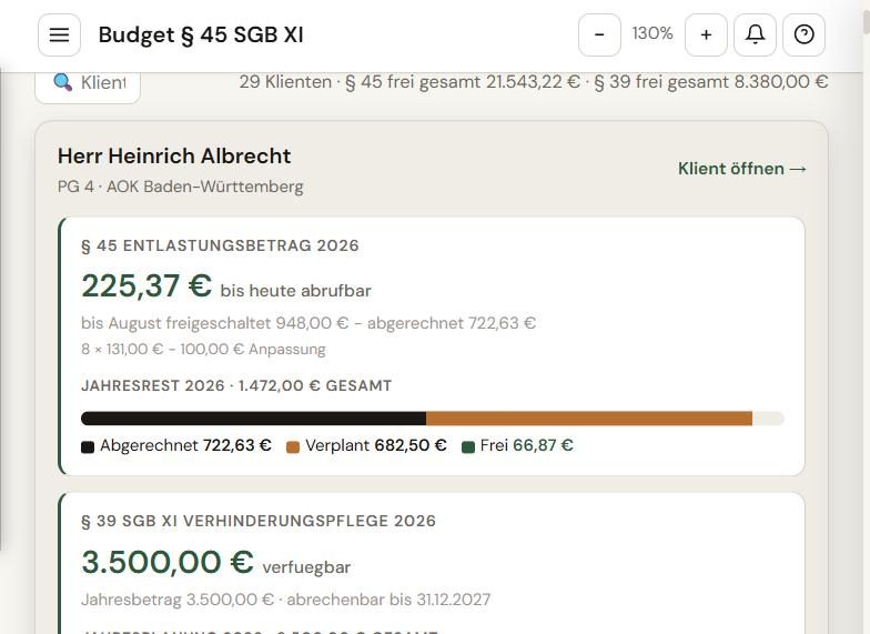Budget-Übersicht – Web
